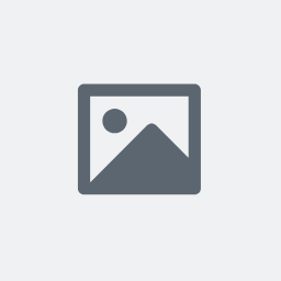 Default Logo